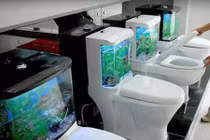 Những thiết bị vệ sinh "lạ đời" khiến bạn đau đầu trước khi dùng