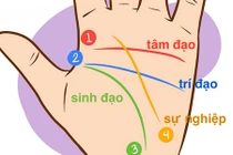 Video: Thành chuyên gia nhân tướng học chỉ với 10 bí kíp xem chỉ tay này