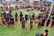 Người Pa Cô đâm trâu trong lễ hội 10 năm mới có một lần