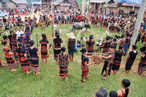 Người Pa Cô đâm trâu trong lễ hội 10 năm mới có một lần