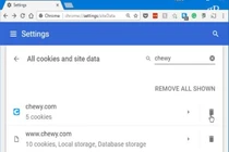 Làm thế nào để xóa Cookie trên Google Chrome