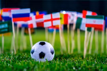 Nở rộ dịch vụ thuê người làm việc hộ để ở nhà xem World Cup