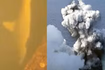 Video: Kỳ dị cá mập đột biến sống trong miệng núi lửa