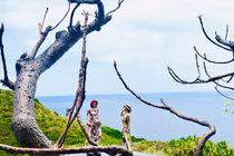 Tình bạn đáng ngưỡng mộ của Hồng Nhung và Hà Kiều Anh