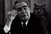 Nhà lãnh đạo Brezhnev được tặng một con mèo có khả năng dự cảm