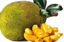 Thực phẩm có thể thay thế thịt trong tương lai bị vứt lăn lóc ở Việt Nam