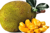 Thực phẩm có thể thay thế thịt trong tương lai bị vứt lăn lóc ở Việt Nam