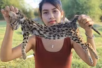 Cô gái Campuchia bị bắt vì giết động vật hoang dã rồi nấu ăn