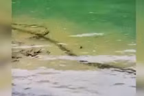 Video: Ngỡ thủy quái khổng lồ bơi dưới nước, kinh ngạc phát hiện sự thật