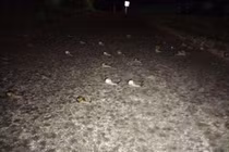 Phát hiện ra những đốm sáng, cô gái "ngớ người" khi phát hiện ra sự thật