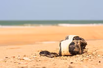 Bí ẩn 14 chân người đi giày lần lượt dạt vào bờ biển Canada