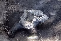 Sinh vật Trái Đất sống dậy nhờ sét đánh