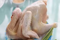 Mẹo chọn gà tươi ngon chắc thịt, không sợ chất tăng trưởng