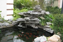 Video: Có 2 vật báu này trong nhà, điều diệu kỳ sẽ đến với chủ nhân