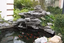 Video: Có 2 vật báu này trong nhà, điều diệu kỳ sẽ đến với chủ nhân