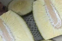 Tá hỏa sự thật bên trong quả mít không hạt