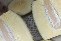 Tá hỏa sự thật bên trong quả mít không hạt