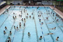 Nước bể bơi thường bị nhiễm khuẩn như thế nào?