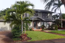 Những loại cây của Thần Tài, trồng trước cửa sẽ hút lộc vào nhà