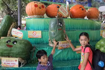 Ngắm "hàng khủng" tại lễ hội trái cây Nam Bộ 2017