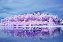 Bí ẩn hòn đảo nhỏ bé với 1/10 dân số bị mù màu