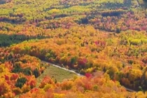 Video: Cùng ngắm vẻ đẹp mùa thu trên khắp nước Mỹ