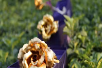 Hai kiểu đàn ông phụ nữ đừng bao giờ lấy làm chồng