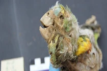 Xác ướp "há miệng, thè lưỡi" tại sa mạc khô hạn nhất thế giới