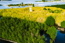 Cảnh sắc Huế chuyển vàng ngày vào thu khiến lòng người thổn thức