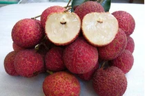 5 loại trái cây không hạt làm mưa làm gió trên thị trường