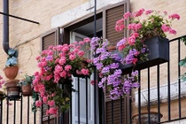 Lủi thủi xách túi đi đẻ, vợ tức nghẹn gặp chồng ở bệnh viện