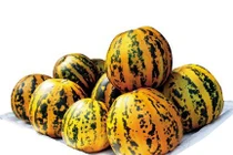 Mùa hè chớ ăn nhiều loại quả này kẻo tiền mất, tật mang