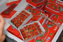 3,5 tấn dâu nghi của Trung Quốc 'bay' vào Đà Lạt