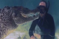 Video: Rợn người cảnh thợ lặn đối đầu với cá sấu khổng lồ ở Mexico
