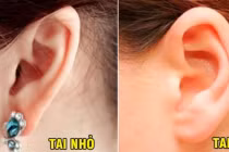 Nhìn tướng tai vài giây biết ngay vận mệnh giàu sang hay nghèo khó cả đời 