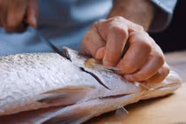 Video: Hướng dẫn phi lê cá hồi nhanh, gọn, đơn giản như nhà hàng 5 sao