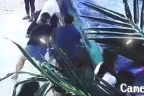 Bé gái 5 tuổi bị cá mập cắn khi đi... mua sắm