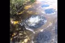 Video: Những hố tròn bí ẩn giữa rừng Amazon