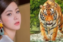 Hé lộ 3 con giáp trời ban may mắn, tài lộc thăng hoa không ngừng