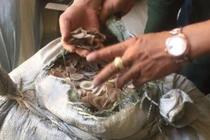 100 tấn nguyên liệu làm thuốc đông y nhập khẩu không khai báo