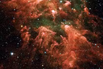 Mối nguy hiểm khi bọ ngoài hành tinh xâm nhập vào Trái đất