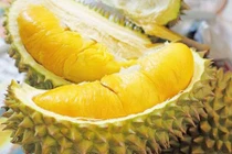 Nguyên nhân vô sinh kì cục nhất vịnh Bắc Bộ