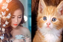 4 con giáp hút tài hút lộc, kiếm tiền siêu đỉnh vào tháng 11