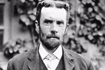 Cuộc sống lập dị của thiên tài yêu màu hồng