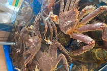 Cua Hoàng đế Alaska tăng giá gấp đôi năm ngoái