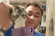 Chú mèo được chế meme "đau ở đây này" qua đời