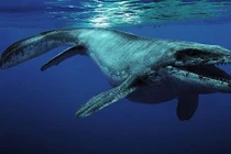 Thủy quái 85 triệu năm tuổi được tìm thấy ở Mỹ