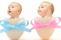 Vidoe: Xem vận mệnh em bé sinh năm 2020 canh tý theo 12 tháng sinh 