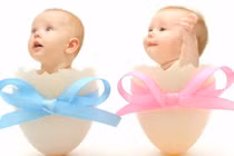 Vidoe: Xem vận mệnh em bé sinh năm 2020 canh tý theo 12 tháng sinh 