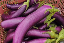 Mỗi ngày một quả cà tím nhỏ nhưng có võ, tốt cho sức khỏe